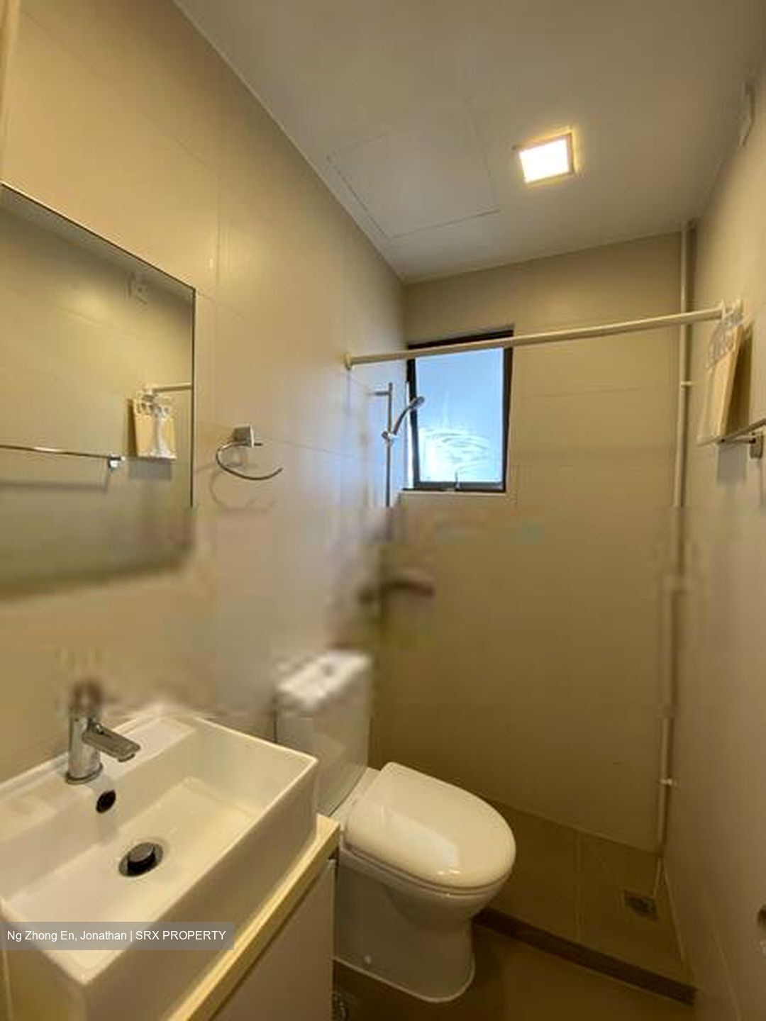 Pastoral View (D11), Apartment #410117391